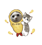 杉村家のみゃーこちゃんたち（個別スタンプ：1）