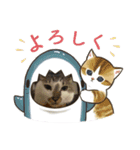 杉村家のみゃーこちゃんたち（個別スタンプ：3）