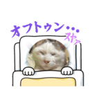 杉村家のみゃーこちゃんたち（個別スタンプ：6）