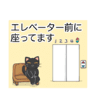 ショッピングモールでお買い物！黒ネコ編（個別スタンプ：30）