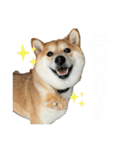 きなことすもも【日常】（個別スタンプ：9）
