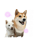 きなことすもも【日常】（個別スタンプ：14）