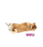 きなことすもも【日常】（個別スタンプ：20）