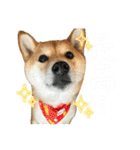 きなことすもも【日常】（個別スタンプ：22）
