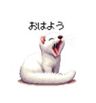 ドット絵 オコジョ 日常会話（個別スタンプ：1）