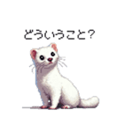 ドット絵 オコジョ 日常会話（個別スタンプ：34）