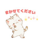 毎日使える敬語 かわいい猫のメイちゃん（個別スタンプ：11）