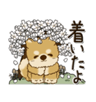柴犬・茶色い犬『春ですね！』（個別スタンプ：29）