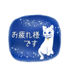 星空猫（個別スタンプ：1）