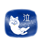 星空猫（個別スタンプ：5）