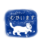 星空猫（個別スタンプ：7）