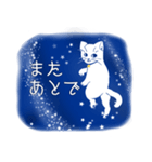 星空猫（個別スタンプ：9）