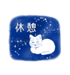 星空猫（個別スタンプ：12）