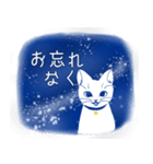 星空猫（個別スタンプ：16）