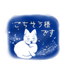 星空猫（個別スタンプ：17）