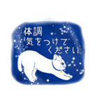 星空猫（個別スタンプ：19）