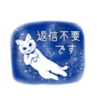 星空猫（個別スタンプ：20）