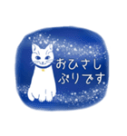 星空猫（個別スタンプ：23）