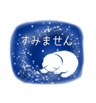 星空猫（個別スタンプ：24）