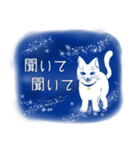 星空猫（個別スタンプ：27）