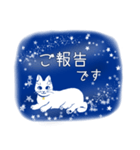 星空猫（個別スタンプ：28）