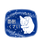 星空猫（個別スタンプ：35）