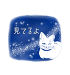 星空猫（個別スタンプ：36）