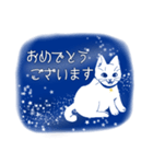 星空猫（個別スタンプ：38）