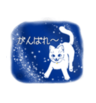 星空猫（個別スタンプ：39）