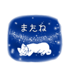 星空猫（個別スタンプ：40）