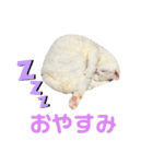 ミカヅキ＆MANYのスタンプ（個別スタンプ：2）
