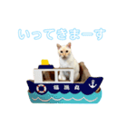 ミカヅキ＆MANYのスタンプ（個別スタンプ：3）