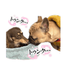 凸凹シーブラザーズのスタンプ（個別スタンプ：6）