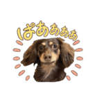 凸凹シーブラザーズのスタンプ（個別スタンプ：14）