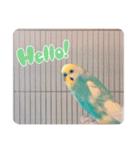 ピピピピぴっぴさん（個別スタンプ：6）