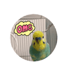 ピピピピぴっぴさん（個別スタンプ：8）
