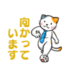 サラリーマン猫田氏の「誘い誘われ言葉」（個別スタンプ：29）