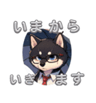 柴犬3色ブラザーズ（個別スタンプ：6）