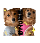 ココア＆ミルクスタンプ（個別スタンプ：8）