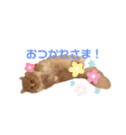 ラテのスタンプ 40個（個別スタンプ：10）