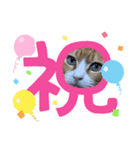 めにょ（個別スタンプ：2）