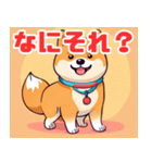 遊び心のあるかわいい柴犬スタンプ（個別スタンプ：8）