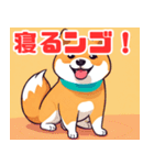 遊び心のあるかわいい柴犬スタンプ（個別スタンプ：11）