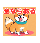 遊び心のあるかわいい柴犬スタンプ（個別スタンプ：34）