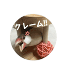 うちのおこめさんときなこさん。2（個別スタンプ：13）