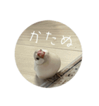 うちのおこめさんときなこさん。2（個別スタンプ：18）