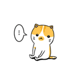 猫と猫（使えるスタンプ）（個別スタンプ：14）