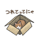 猫とダンボールのスタンプ（個別スタンプ：8）