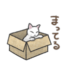 猫とダンボールのスタンプ（個別スタンプ：11）