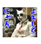 猫スーツおじさん（個別スタンプ：17）